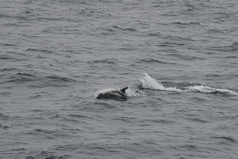 north atlantic odyssey 2018 145 20180703 1158350783