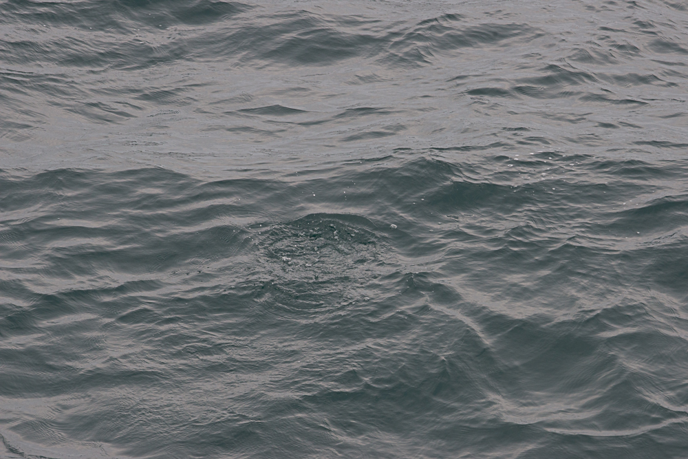 north atlantic odyssey 2018 15 20180626 1903780194