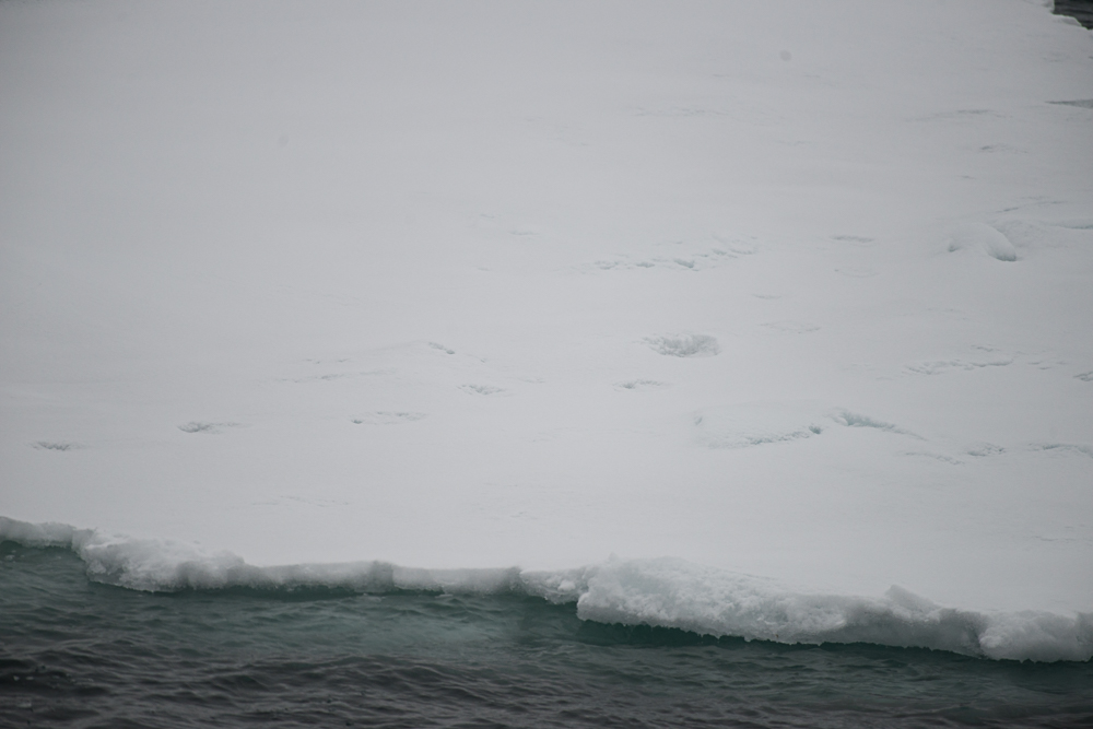north atlantic odyssey 2018 179 20180704 1360465384