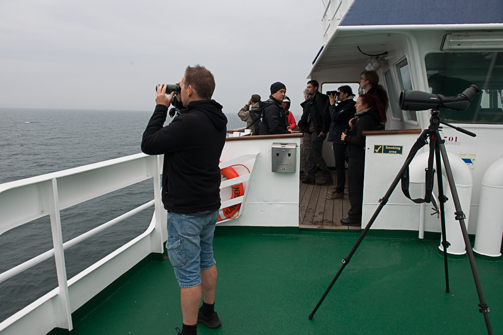 north atlantic odyssey 2018 19 20180626 2046323525