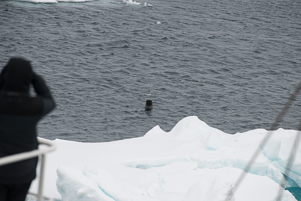 north atlantic odyssey 2018 92 20180703 1700716140